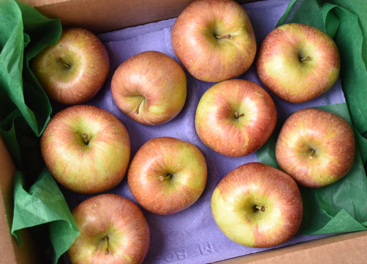 Triple B Apples - 1 peck Mixer Box