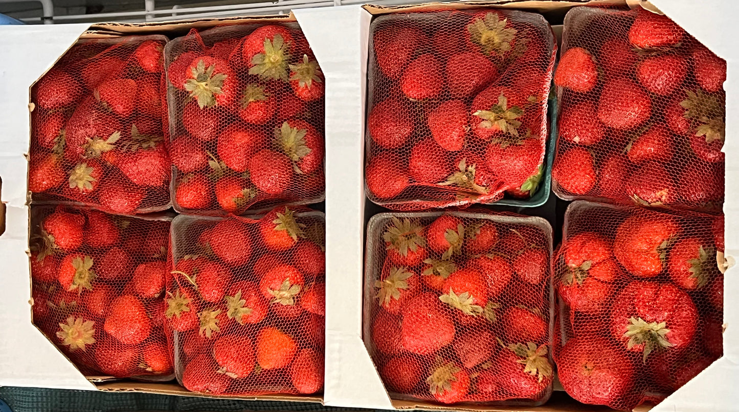 FRESH Triple B Strawberries