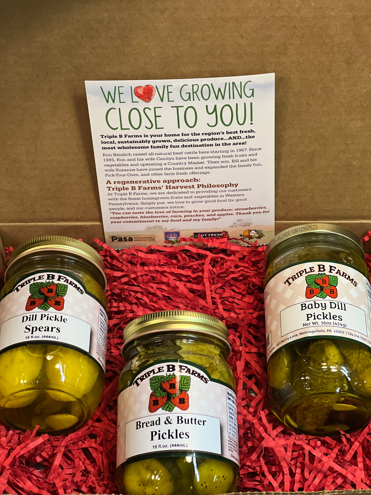 Pickle Box Mini Classic Pickle Gift Box – Triple B Farms