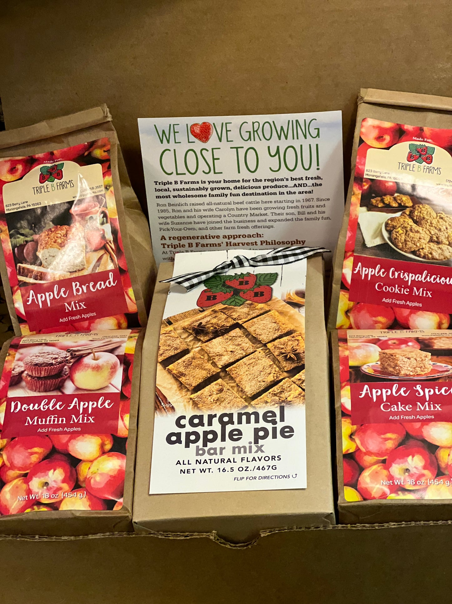 Apple Bakery Gift Box