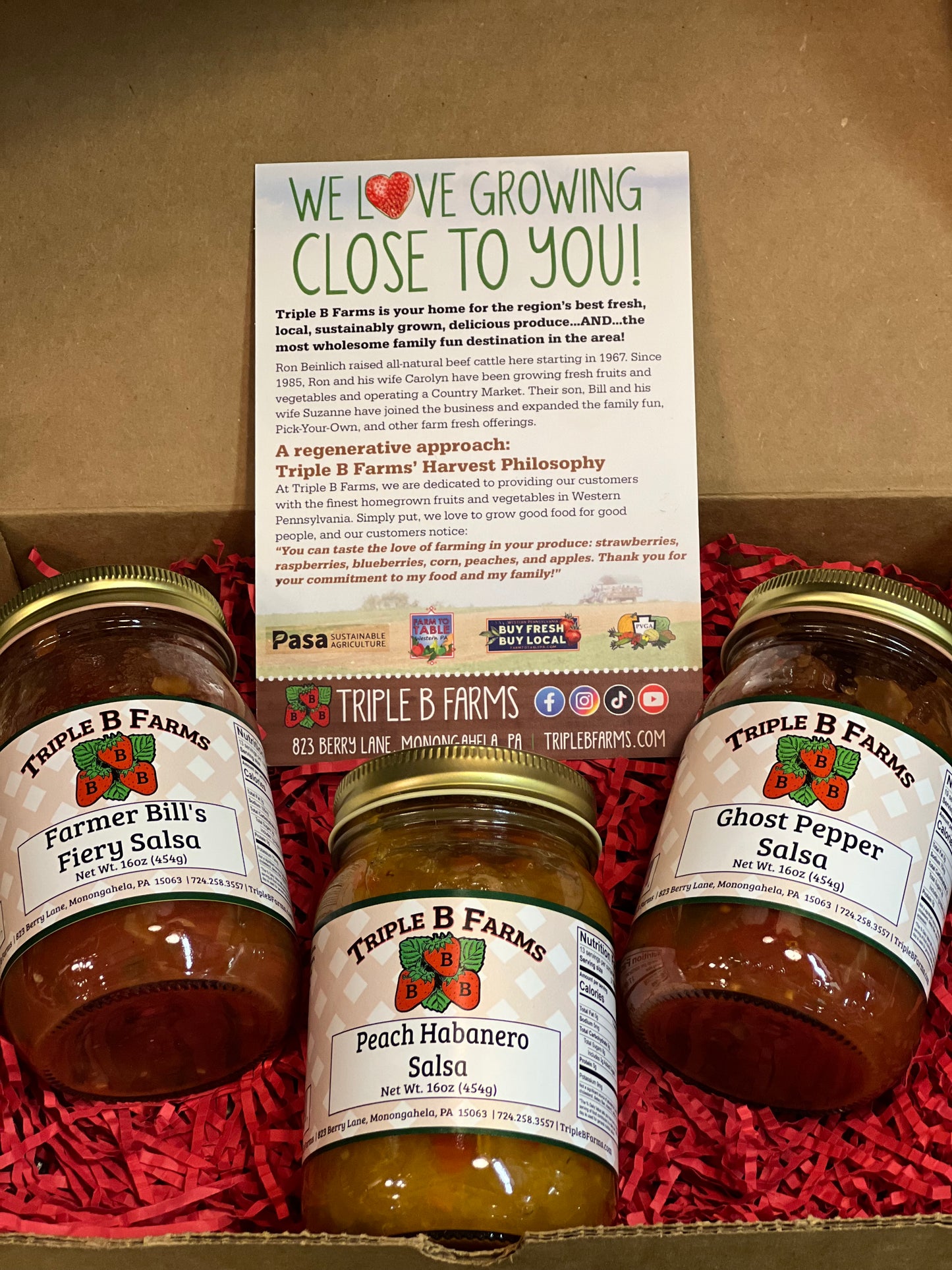 Hot Salsa Gift Box