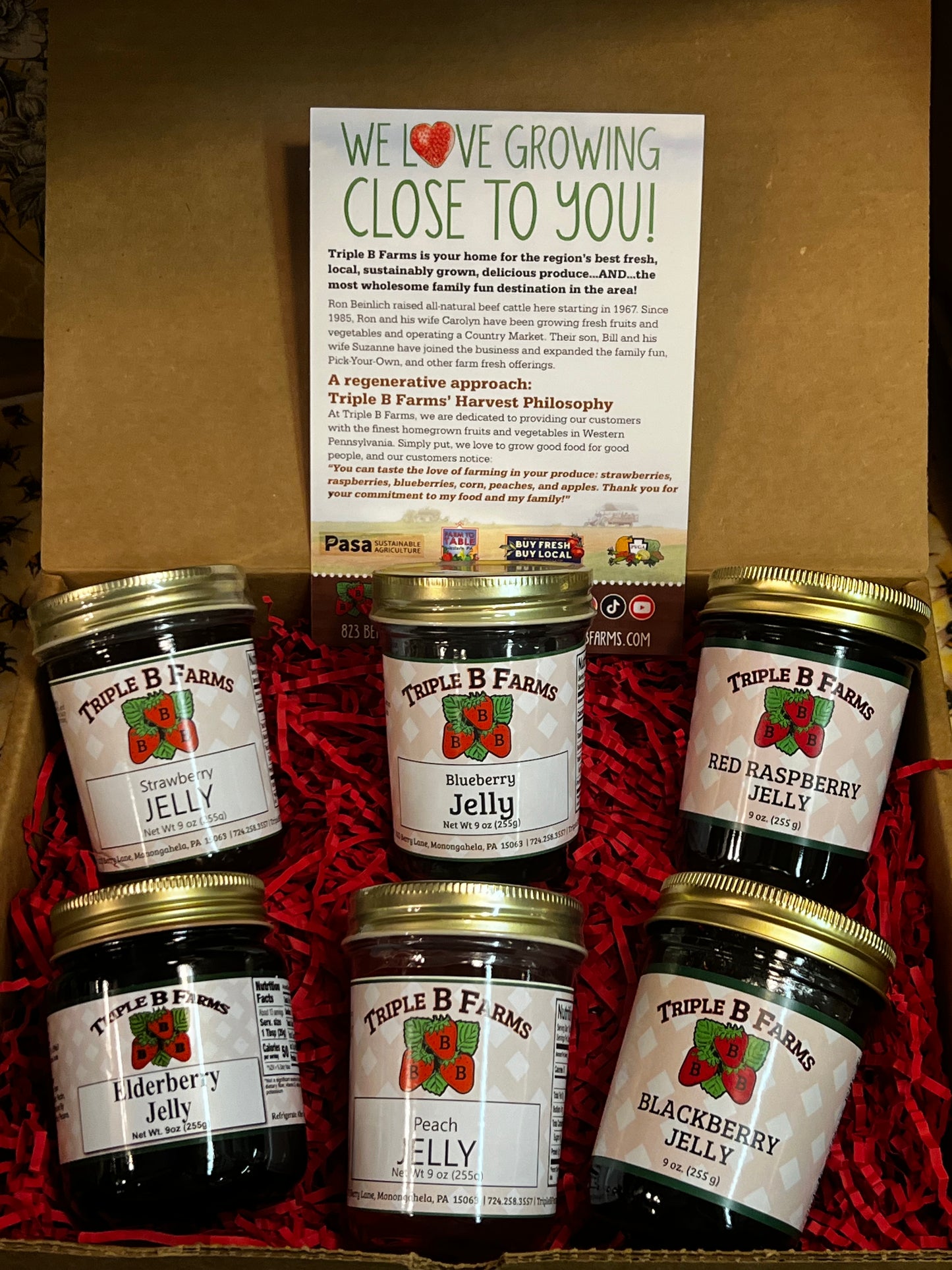 Jelly Favorites Gift Box