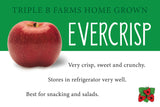 Triple B's OWN Evercrisp, Honeycrisp or Cameo Apples - 20 count