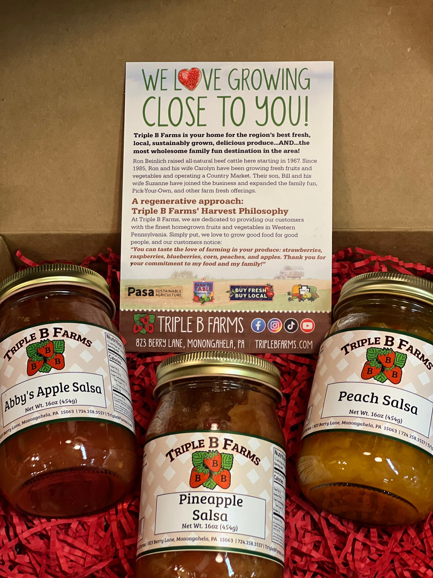Fruity Salsa Gift Box