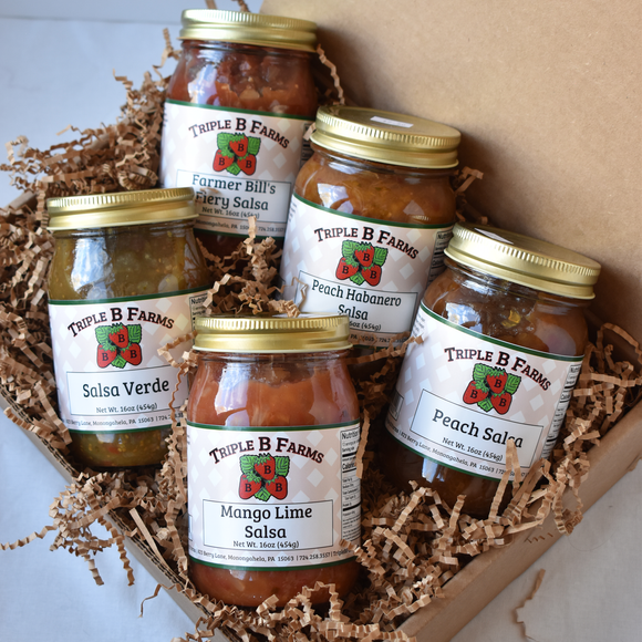 Salsa Sampler Gift Box