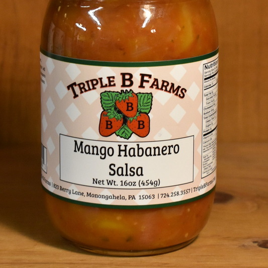 Mango Habanero Salsa