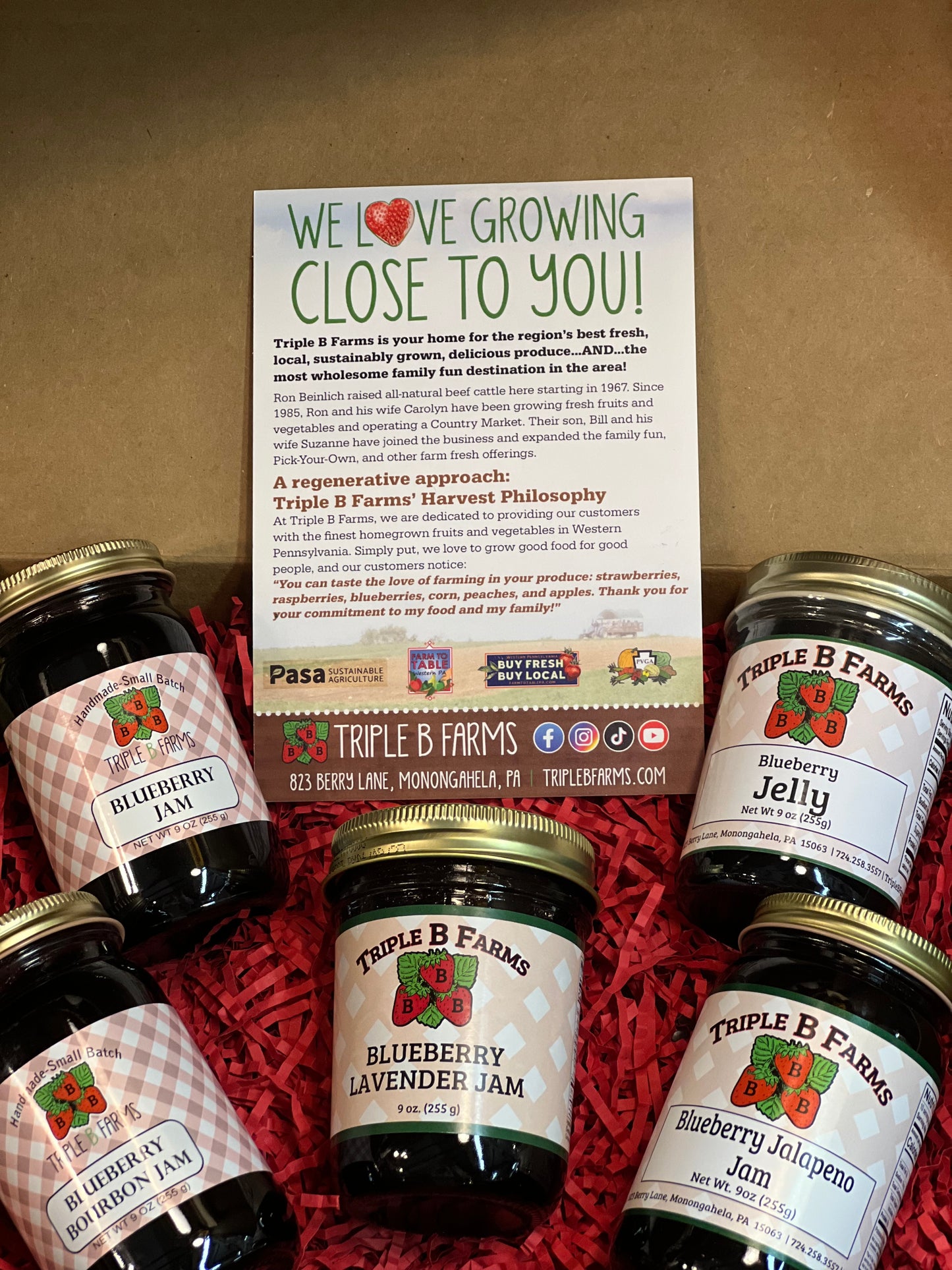 Blueberry Lover Jam Gift Box