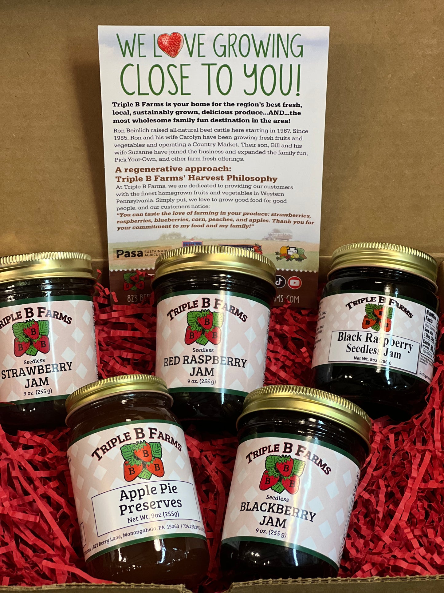 Seedless Jam- Favorites ONLY! Gift Box