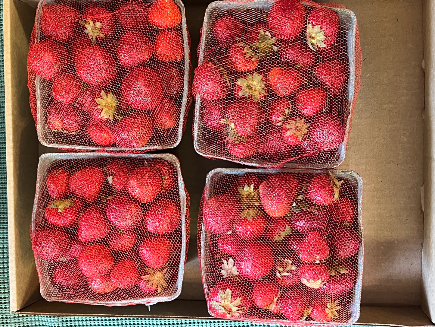 FRESH Triple B Strawberries