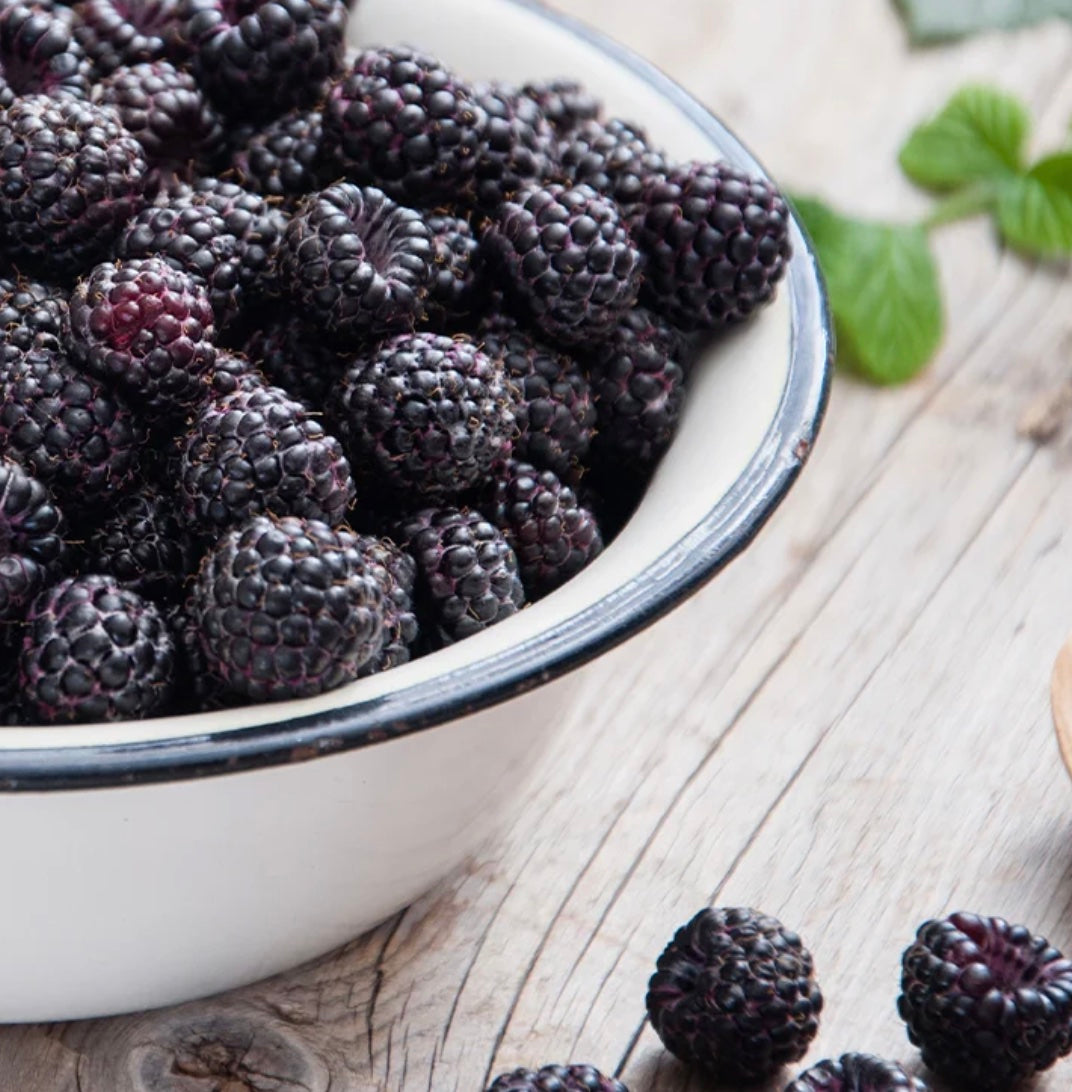 Blackberry Fruit Butter