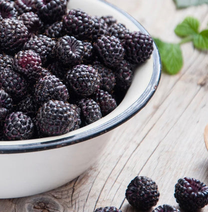 Blackberry Fruit Butter