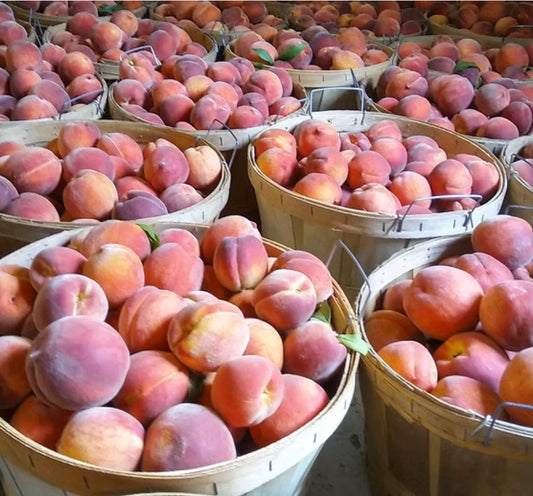 Peach Jam (No Sugar)