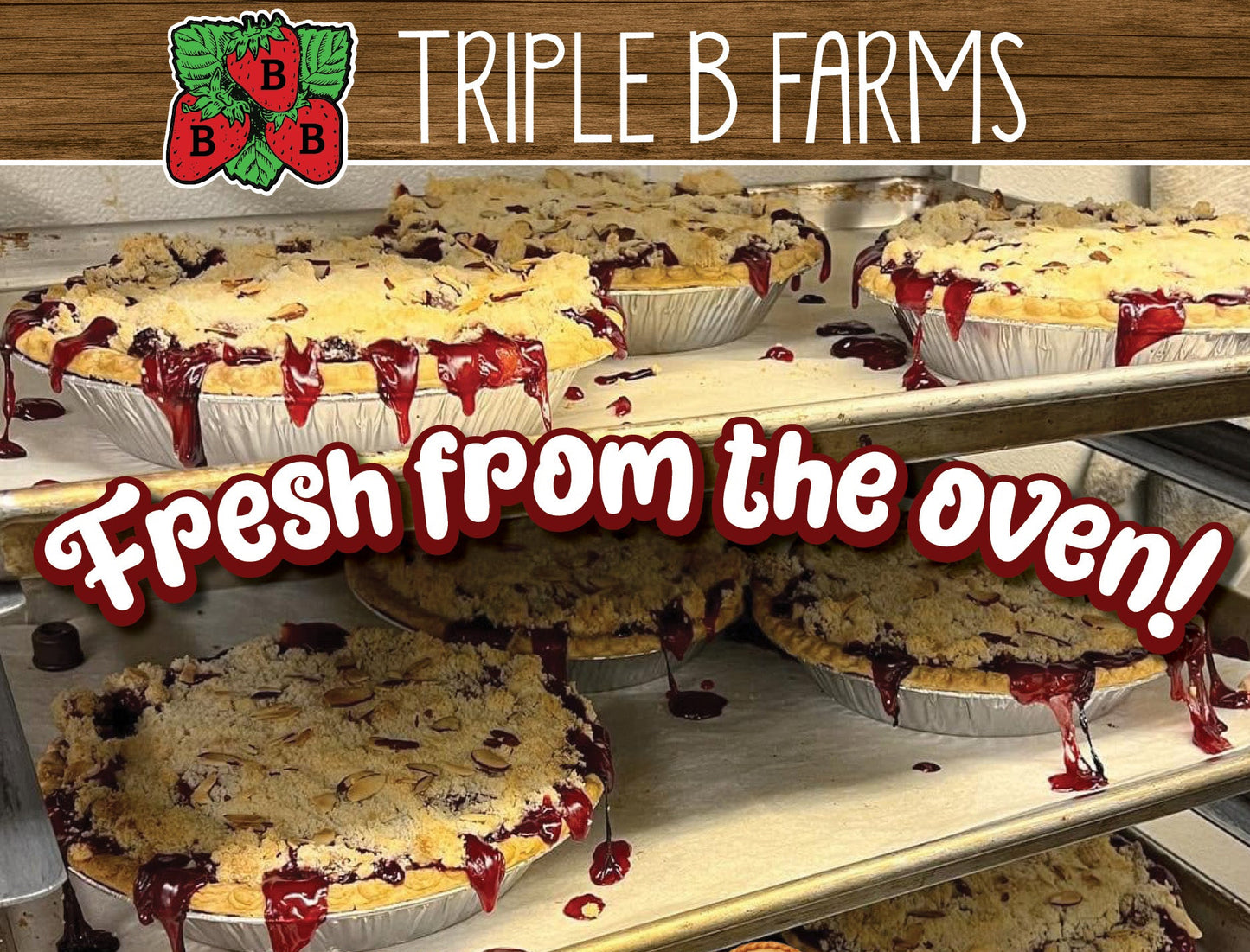 Nan's Famous Tart Cherry Pie (limited time only)