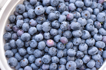 Blueberry Fruit Butter