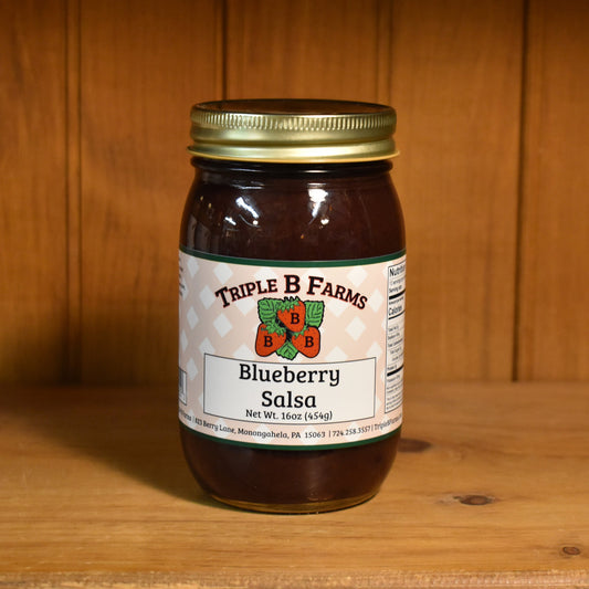 Blueberry Salsa