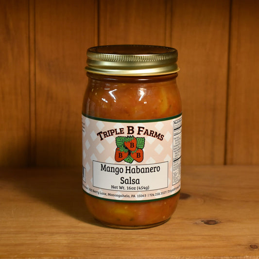 Mango Habanero Salsa