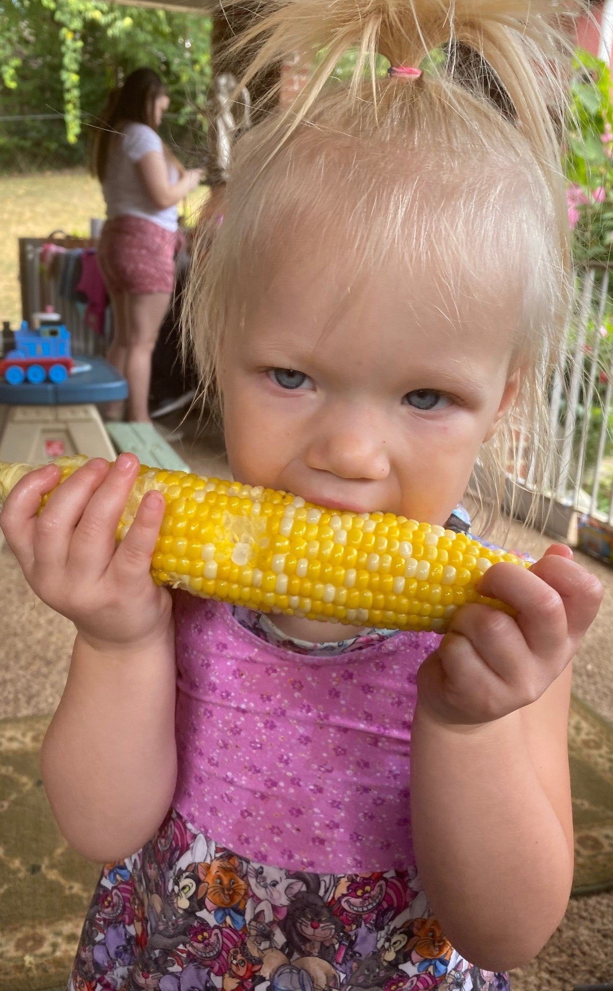 Sweet Corn - Triple B's OWN is HERE!!