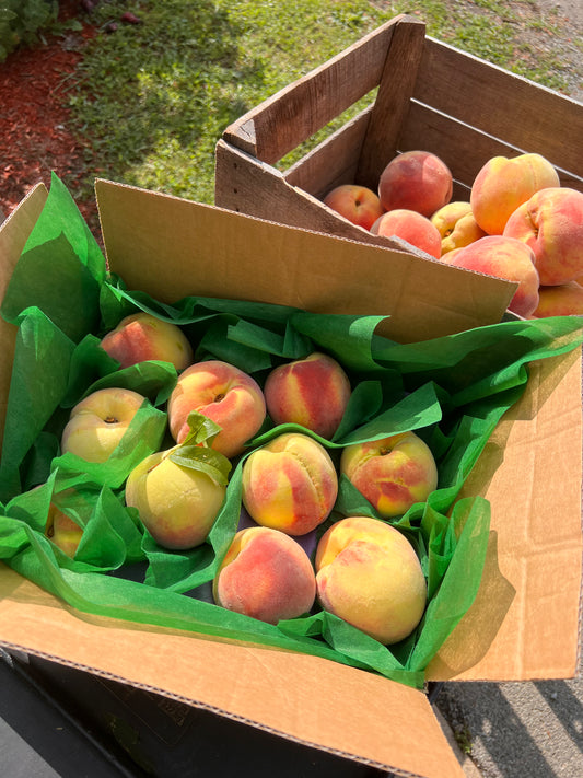 Triple B's Own Peach Box